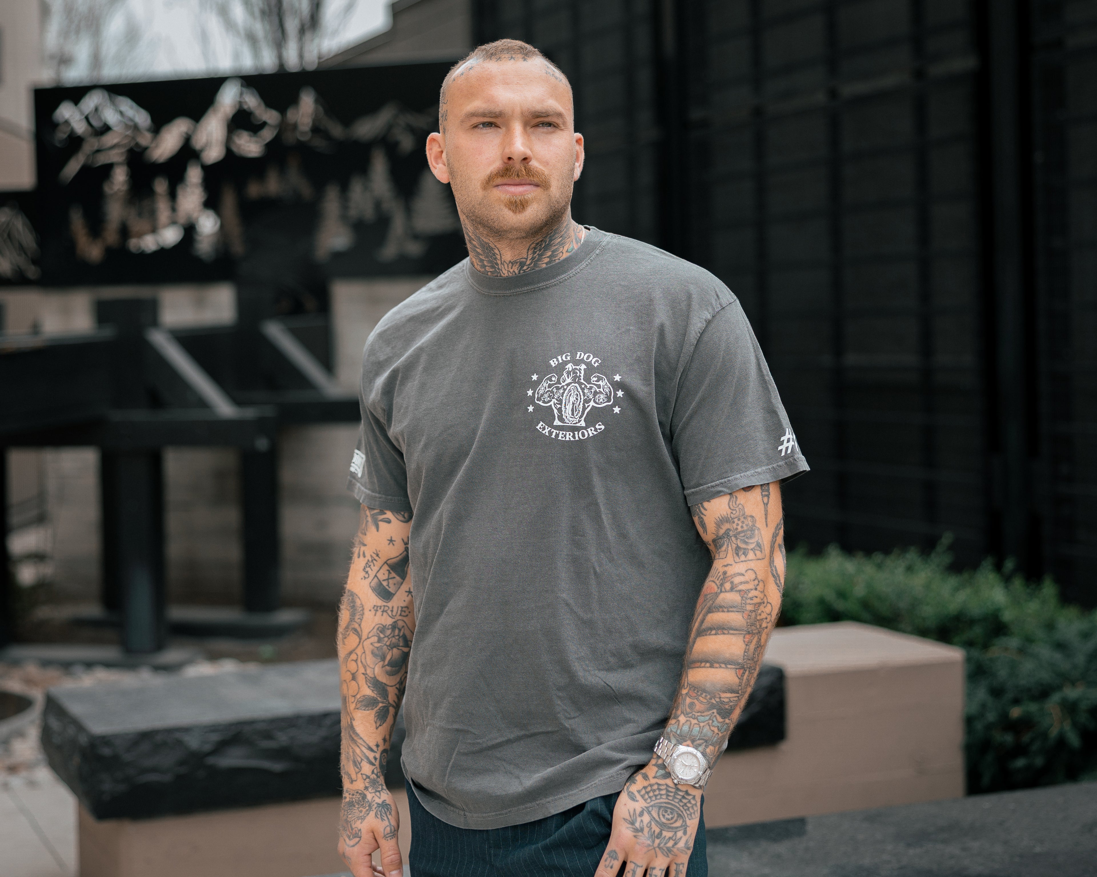 Big Dog Exteriors — Freedom's Door Campaign Tee